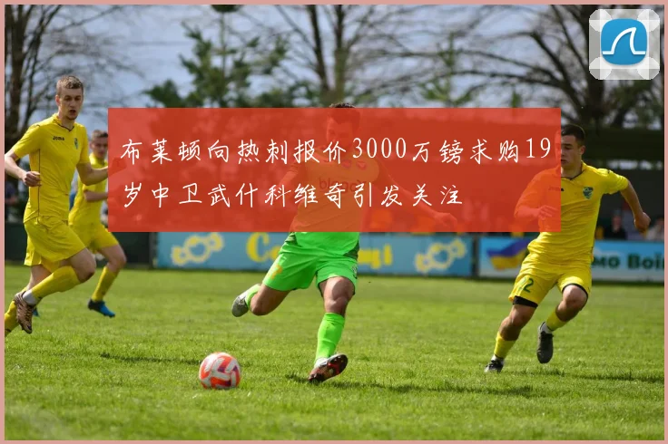 布莱顿向热刺报价3000万镑求购19岁中卫武什科维奇引发关注